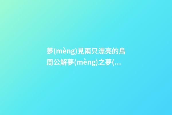 夢(mèng)見兩只漂亮的鳥　周公解夢(mèng)之夢(mèng)到兩只漂亮的鳥